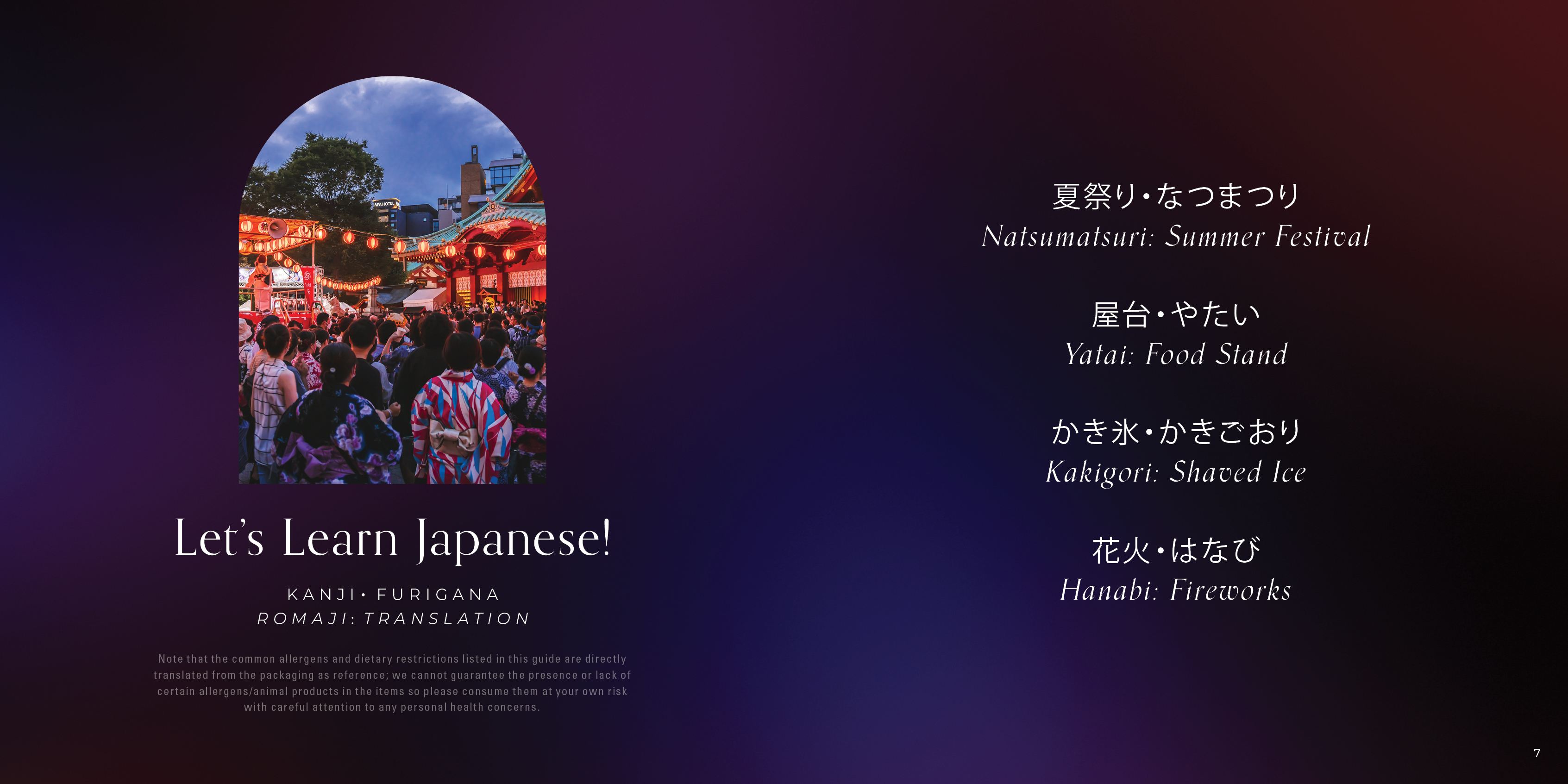 FireworksFestival4