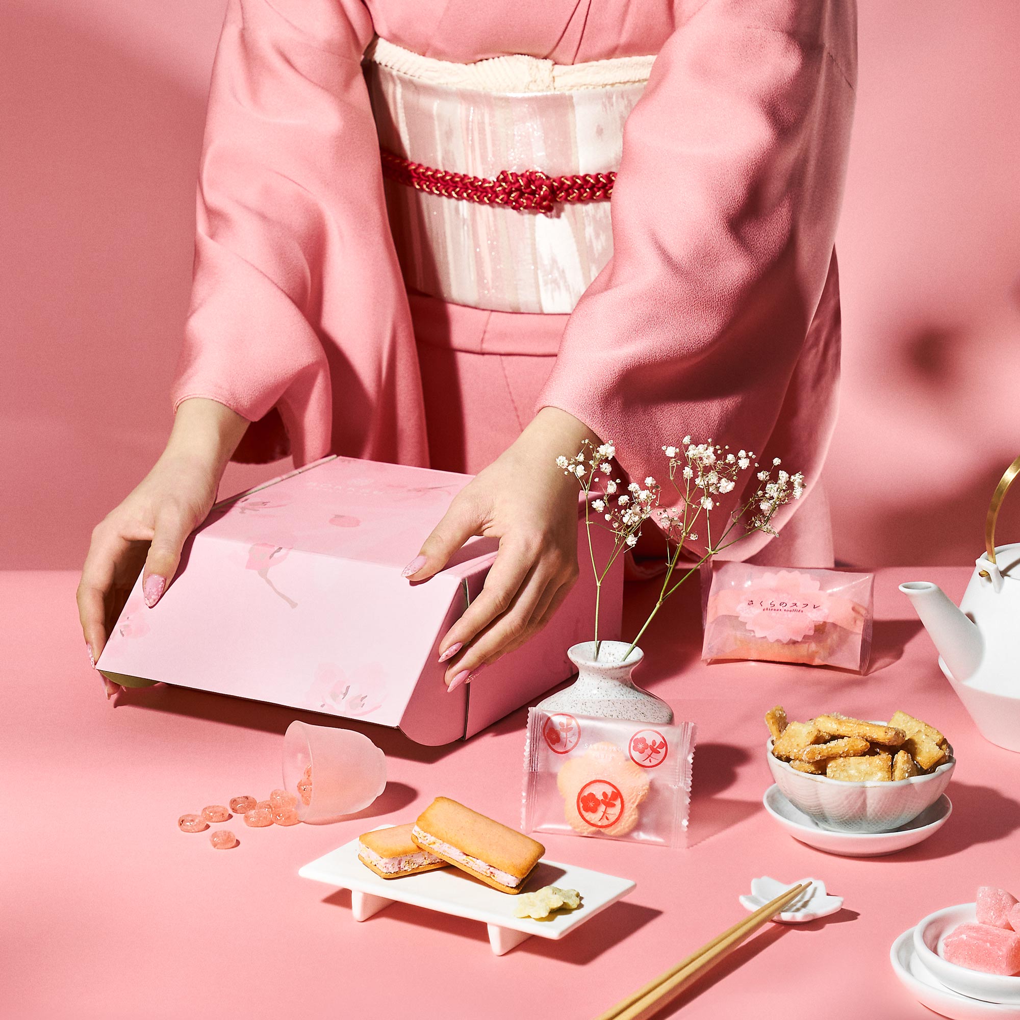 Sakura23_Hero_002_Square